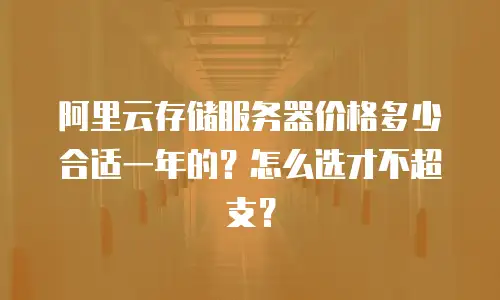 阿里云存储服务器价格多少合适一年的？怎么选才不超支？