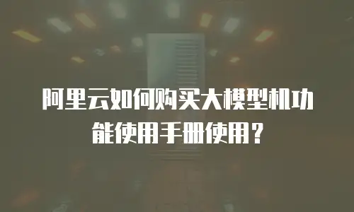 阿里云如何购买大模型机功能使用手册使用？