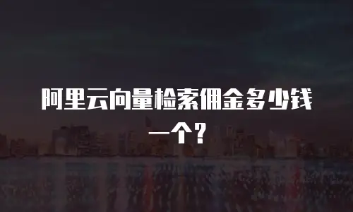 阿里云向量检索佣金多少钱一个？