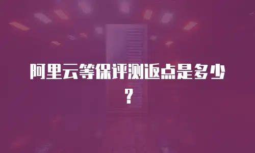 阿里云等保评测返点是多少？