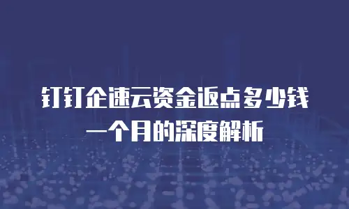 钉钉企速云资金返点多少钱一个月的深度解析