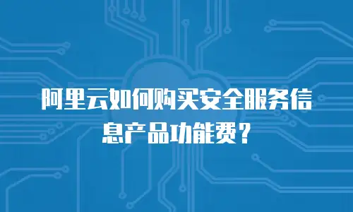 阿里云如何购买安全服务信息产品功能费？