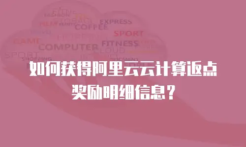 如何获得阿里云云计算返点奖励明细信息？