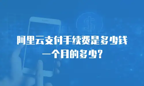 阿里云支付手续费是多少钱一个月的多少？