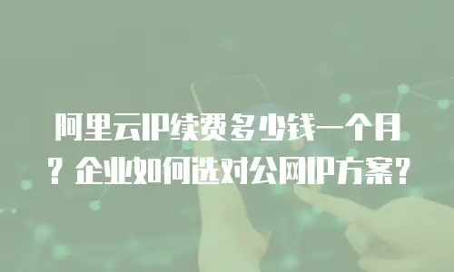 阿里云IP续费多少钱一个月？企业如何选对公网IP方案？