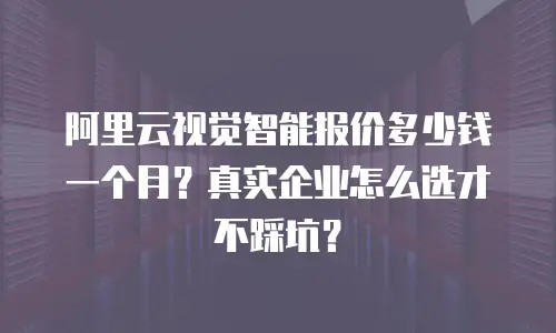 阿里云视觉智能报价多少钱一个月？真实企业怎么选才不踩坑？