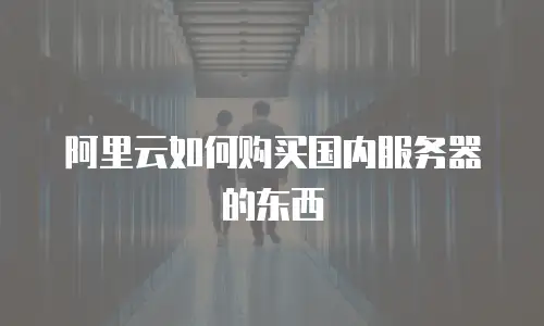 阿里云如何购买国内服务器的东西