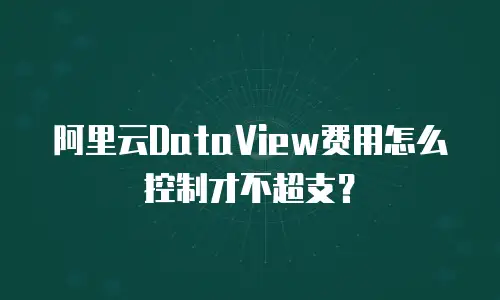 阿里云DataView费用怎么控制才不超支？