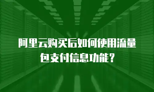 阿里云购买后如何使用流量包支付信息功能？