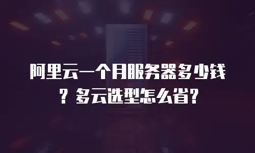 阿里云一个月服务器多少钱？多云选型怎么省？