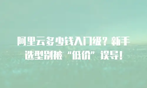 阿里云多少钱入门级？新手选型别被“低价”误导！