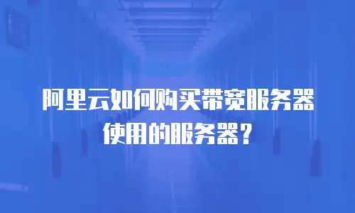 阿里云如何购买带宽服务器使用的服务器？