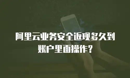 阿里云业务安全返现多久到账户里面操作？
