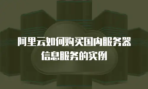 阿里云如何购买国内服务器信息服务的实例