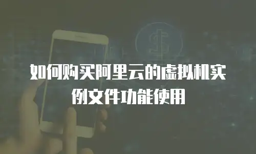 如何购买阿里云的虚拟机实例文件功能使用