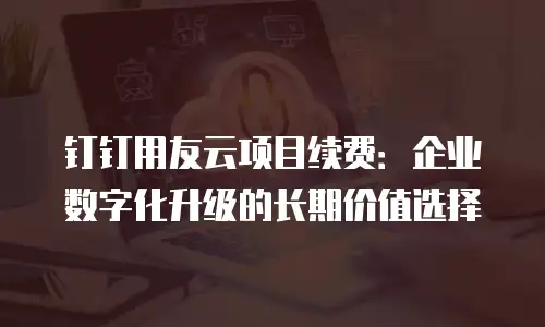 钉钉用友云项目续费：企业数字化升级的长期价值选择