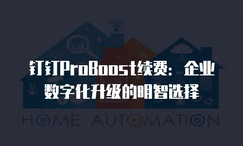 钉钉ProBoost续费：企业数字化升级的明智选择