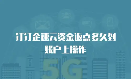 钉钉企速云资金返点多久到账户上操作