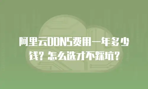 阿里云DDNS费用一年多少钱？怎么选才不踩坑？