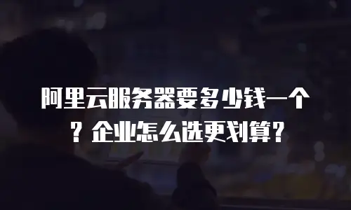 阿里云服务器要多少钱一个？企业怎么选更划算？