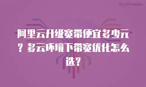 阿里云升级宽带便宜多少元？多云环境下带宽优化怎么选？
