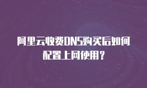 阿里云收费DNS购买后如何配置上网使用？
