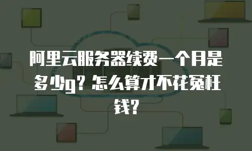 阿里云服务器续费一个月是多少g？怎么算才不花冤枉钱？