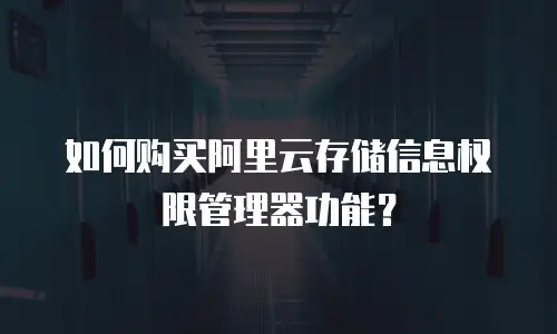 如何购买阿里云存储信息权限管理器功能？