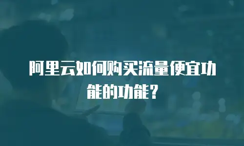 阿里云如何购买流量便宜功能的功能？