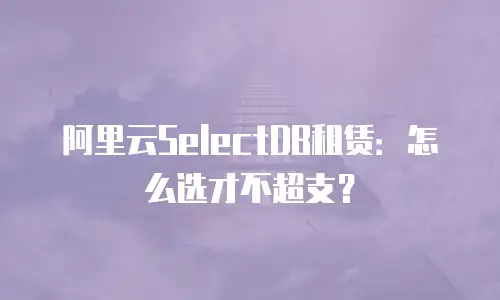 阿里云SelectDB租赁：怎么选才不超支？