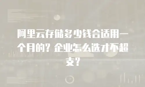 阿里云存储多少钱合适用一个月的？企业怎么选才不超支？