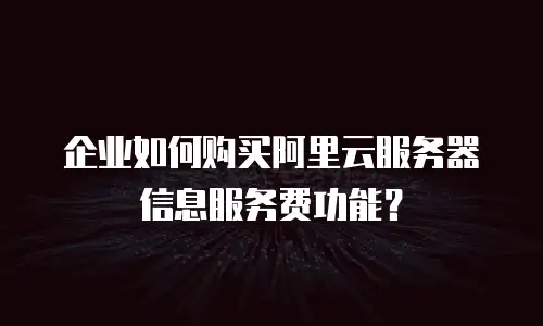 企业如何购买阿里云服务器信息服务费功能？