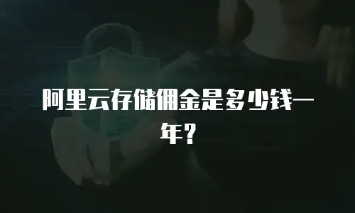 阿里云存储佣金是多少钱一年？