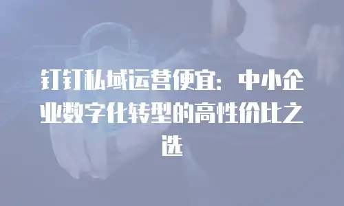 钉钉私域运营便宜：中小企业数字化转型的高性价比之选