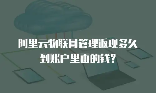 阿里云物联网管理返现多久到账户里面的钱？