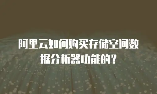 阿里云如何购买存储空间数据分析器功能的？