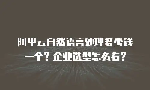 阿里云自然语言处理多少钱一个？企业选型怎么看？