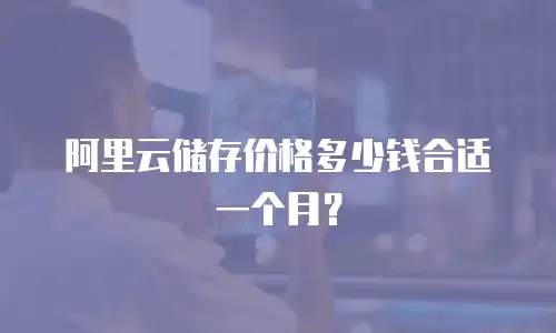 阿里云储存价格多少钱合适一个月？