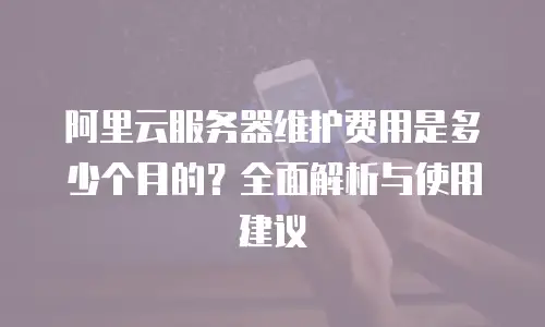 阿里云服务器维护费用是多少个月的？全面解析与使用建议