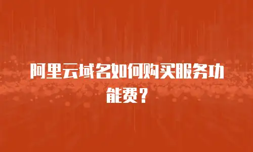 阿里云域名如何购买服务功能费？