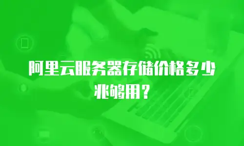 阿里云服务器存储价格多少兆够用？