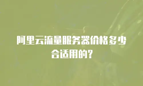 阿里云流量服务器价格多少合适用的？