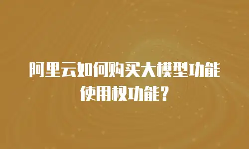 阿里云如何购买大模型功能使用权功能？