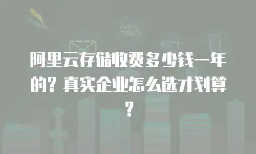 阿里云存储收费多少钱一年的？真实企业怎么选才划算？