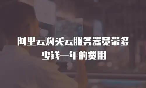 阿里云购买云服务器宽带多少钱一年的费用