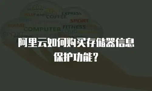 阿里云如何购买存储器信息保护功能？