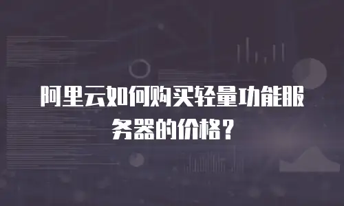 阿里云如何购买轻量功能服务器的价格？