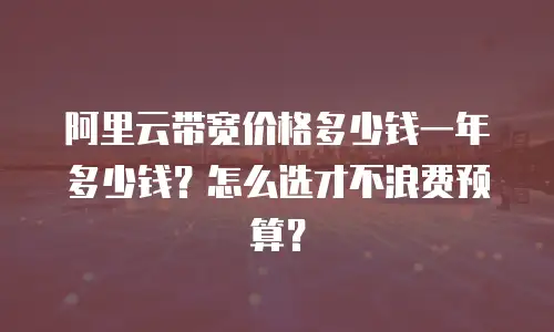 阿里云带宽价格多少钱一年多少钱？怎么选才不浪费预算？