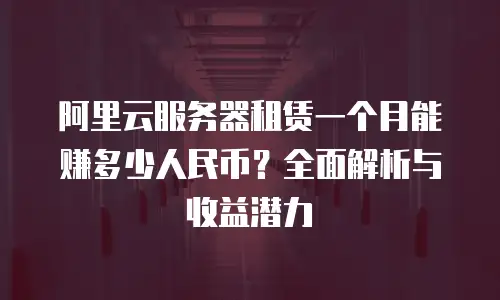 阿里云服务器租赁一个月能赚多少人民币？全面解析与收益潜力