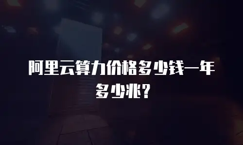 阿里云算力价格多少钱一年多少兆？